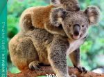 Calendrier 2026 Bébés animaux 16,5 x 16,5 cm