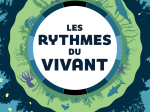 Les rythmes du vivant