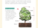 Mon petit guide nature, Les arbres