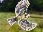 Anti-collisions électrostatiques Oiseaux des jardins - Lot de 4