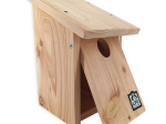 Nichoir LPO Rougequeue à front blanc