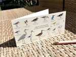 Carte Postale double 21 x 10 cm - Oiseaux des plages