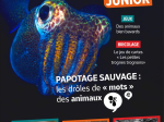 L'Oiseau Magazine Junior n°60 - Automne 2025