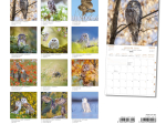 Calendrier 2026 Chouettes et Hiboux 30 x 30 cm