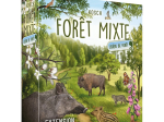 Forêt mixte - Extension Lisière de forêt