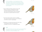 Aquarelle reconnaître peindre les oiseaux des jardins et des forêts