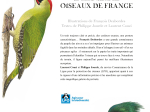 Le Grand album des oiseaux de France