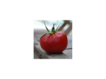 Graines Bio Tomate Rose de Berne