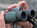 Jumelles Kowa BD II 10x42
