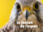 Le faucon de l'espoir