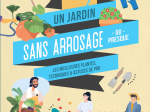 Un jardin sans arrosage ou presque