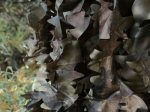 Filet de camouflage sous-bois automne 3 x 3 mètres