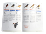 Guide LPO - Les oiseaux communs des jardins