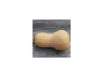 Graines Bio Courge Musquée Butternut