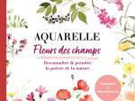 Aquarelle Fleurs des champs