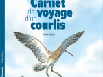 BD Carnet de voyage d'un Courlis