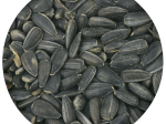 Graines de tournesol noir bio 5 kg