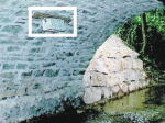 Nichoir Schwegler N°19 Cincle Plongeur