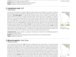 Guide expert des oiseaux de Guyane