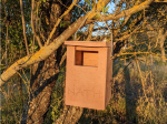 Nichoir à rougequeue semi-ouvert en béton de bois