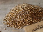 Graines Bio Engrais vert - Sainfoin Vivace 10 m²