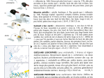 Guide Heinzel des Oiseaux d'Europe - Nouvelle Edition
