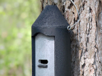 Gîte à chauve-souris Schwegler 2F