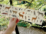 Carte postale double 21 x 10 cm - Animaux des forêts
