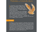 Histoires de Grands-Ducs