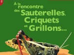 Les cahiers techniques - À la rencontre des sauterelles, criquets et grillons