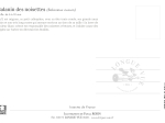 Carte postale naturaliste - Balanin des noisettes