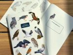 Carnet de notes A5 - Rapaces