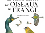 Le Grand album des oiseaux de France