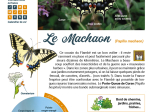 Les cahiers techniques - Papillons de jour, papillons toujours !