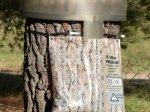 Piège chenilles processionnaires -  Recharge sac Ecopiège® + mastic