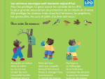 Petit Ours Brun sauve un petit oiseau