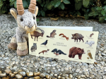 Carte postale double 21 x 10 cm - Animaux des montagnes