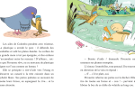 Le club des Plumes Vertes - Mission Plastique