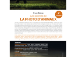 Les secrets de la photo d'animaux