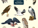 Carnet de notes A5 - Rapaces