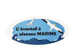 Éventail pédagogique LPO - Identifier les oiseaux marins