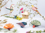 Kit origami, Oiseaux, avec pas-à-pas vidéo