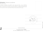 Carte postale naturaliste - Calosome