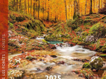 Calendrier 2025 Dans les forêts 30 x 30