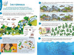 Mon cahier de jeux au fil de l'eau