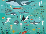 Poster pédagogique 59 stickers - Animaux des mers