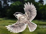 Anti-collisions électrostatiques Oiseaux des montagnes - Lot de 4