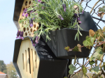 Jardinière CAPI®