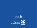 Carnet LPO - Baleine
