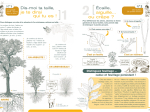 Les cahiers techniques - Déjouez les trompe-l'œil des arbres